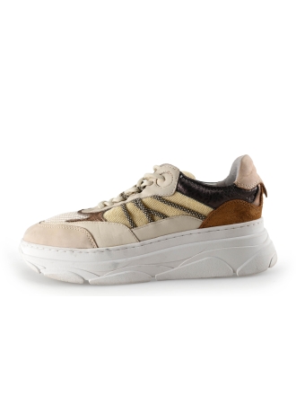 Nelson Sneaker Beige 296385