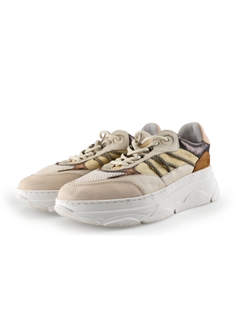 Nelson Sneaker Beige 296385