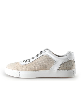 Greve Sneaker Beige 296803