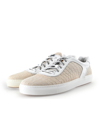 Greve Sneaker Beige 296803