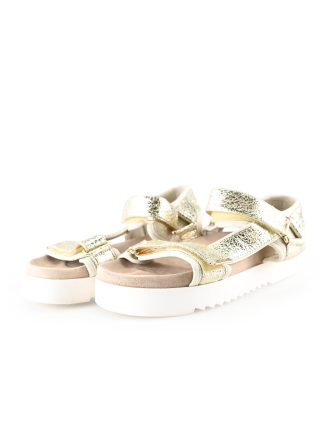 Maruti Sandalen Gold 297685