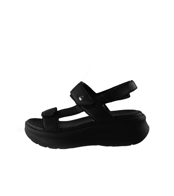 Panama Jack Sandalen