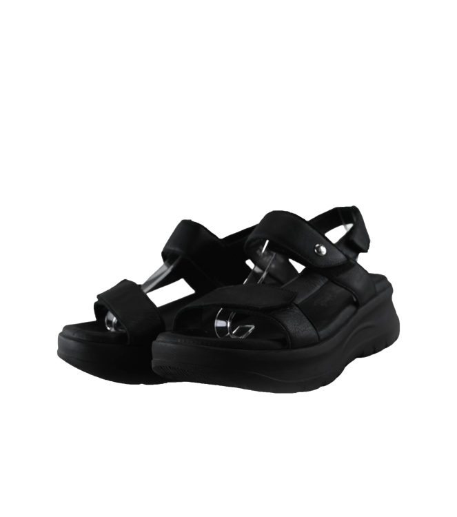 Panama Jack Sandalen