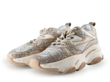 Steve Madden Sneaker