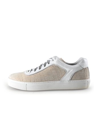 Greve Sneaker Beige 299251