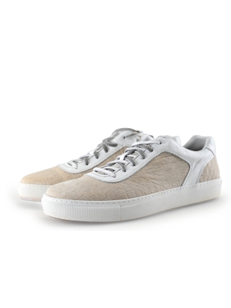 Greve Sneaker Beige 299251