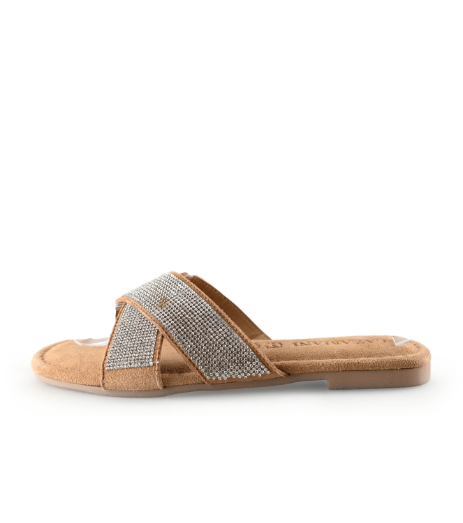 Lazamani Flip-Flops