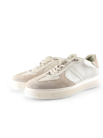 Manfield Sneaker Beige 300245