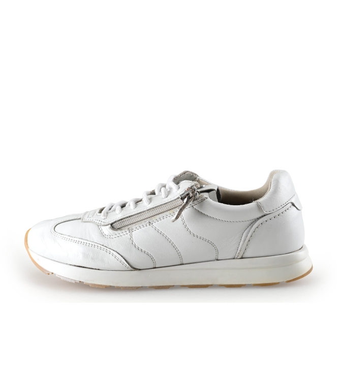 Manfield Sneaker
