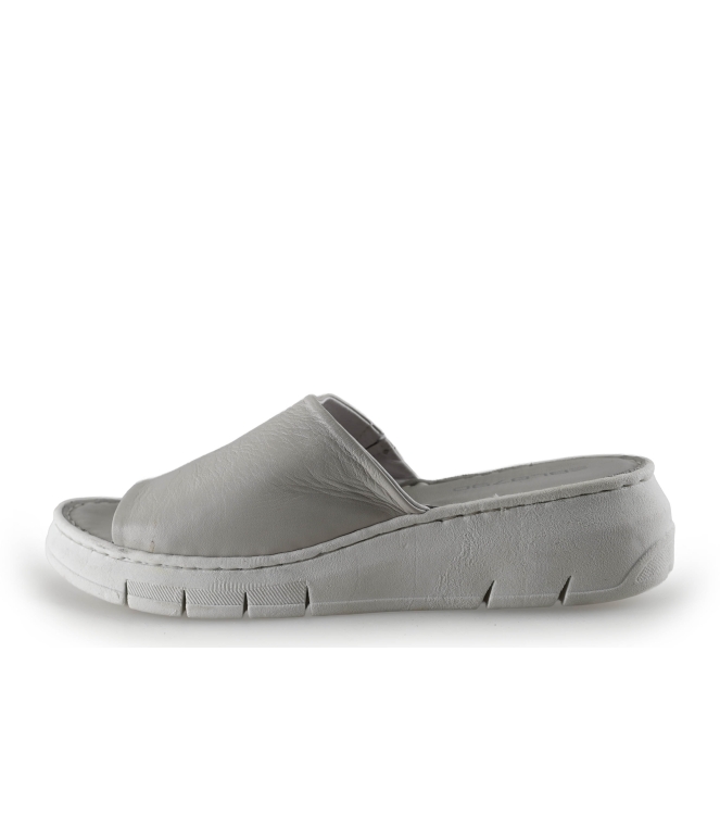 EBL8790 Flip-Flops