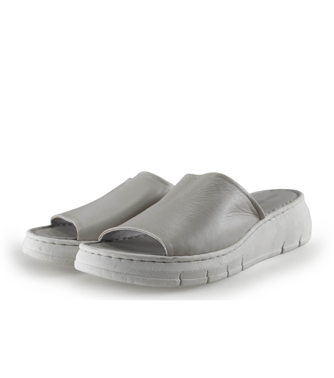 EBL8790 Flip-Flops
