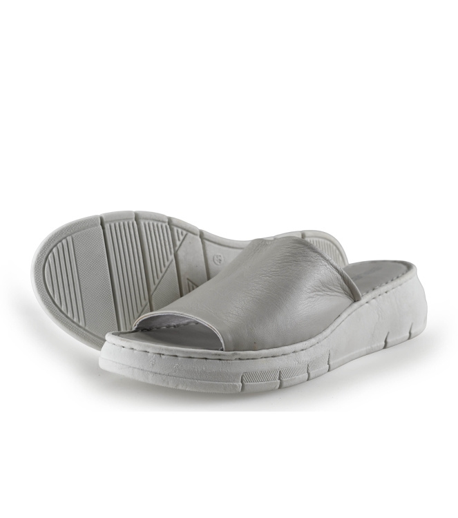 EBL8790 Flip-Flops