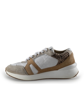 Manfield Sneaker