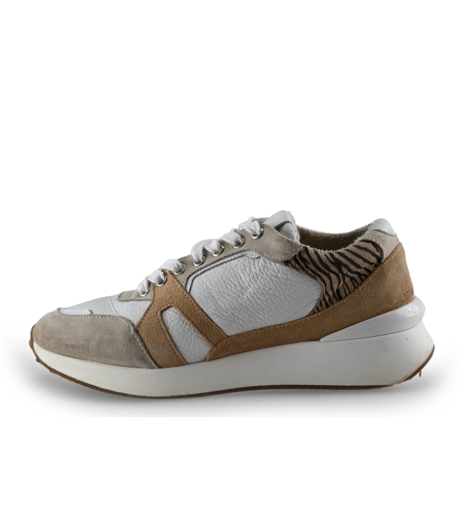 Manfield Sneaker