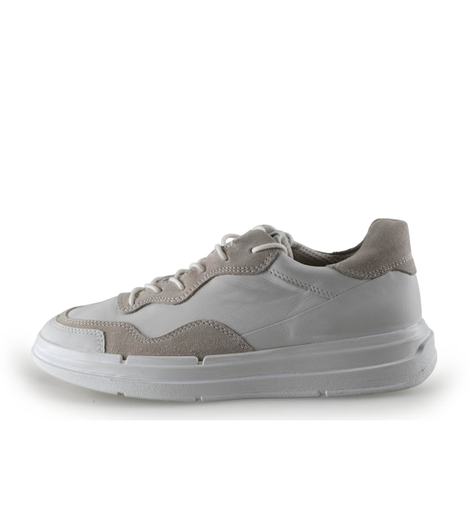 Ecco Sneaker