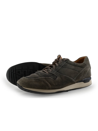 Greve Sneaker