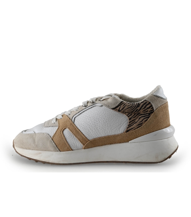 Manfield Sneaker