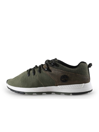Timberland Sneaker Grün 306305