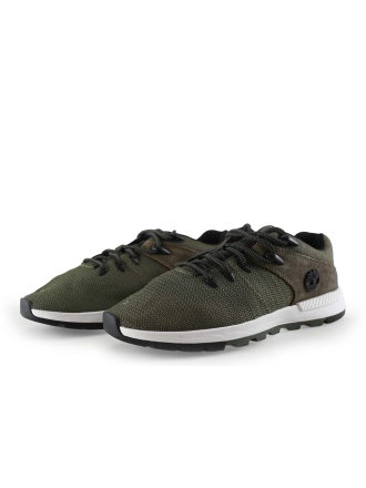 Timberland Sneaker Grün 306305