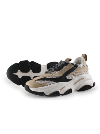 Steve Madden Sneaker