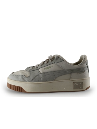 Puma Sneaker Grau 306689