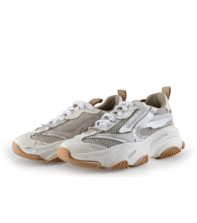 Steve Madden Sneaker