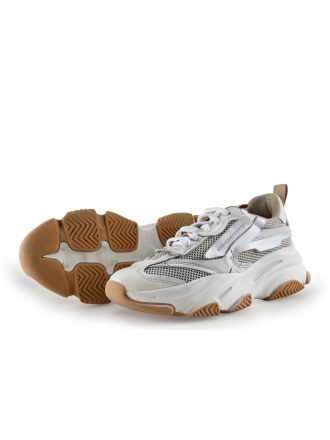 Steve Madden Sneaker