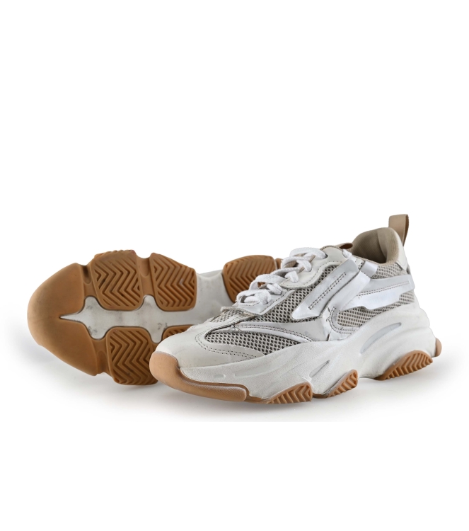 Steve Madden Sneaker