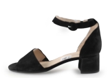 Gabor pumps