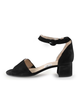 Gabor pumps