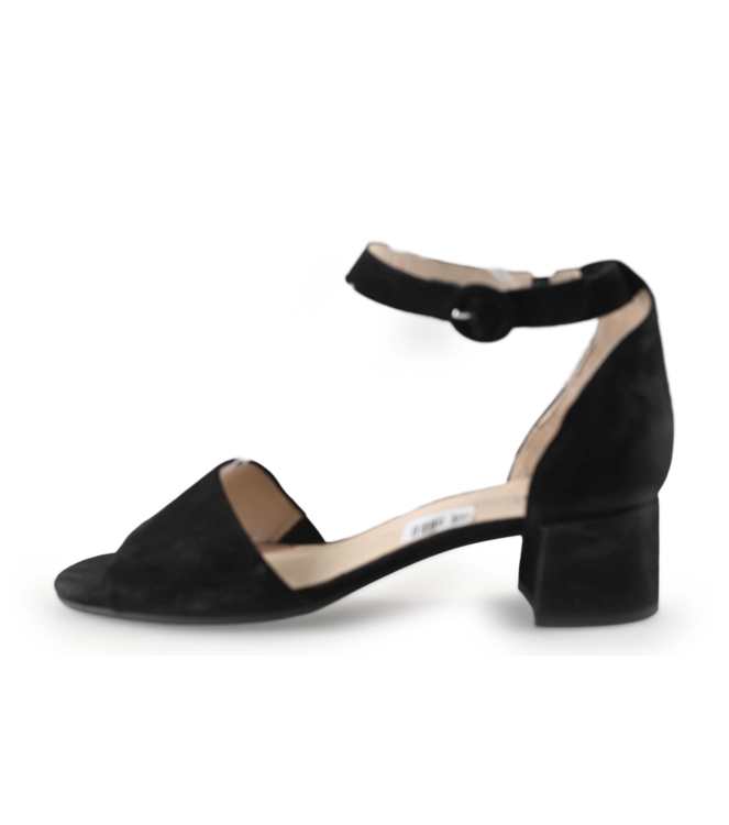 Gabor pumps