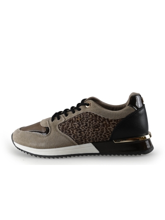 Mexx Sneaker Braun 307558