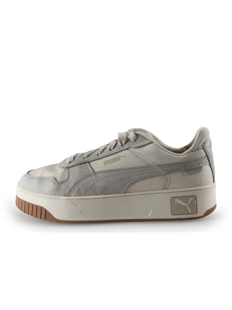 Puma Sneaker Grau 307619