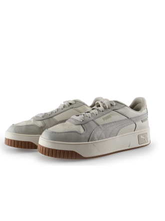 Puma Sneaker Grau 307619