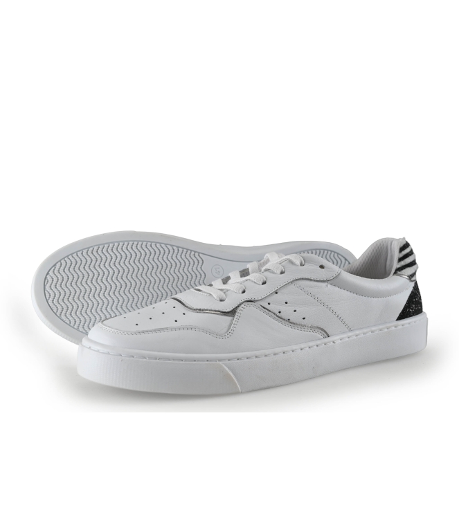 Colors of California Sneaker