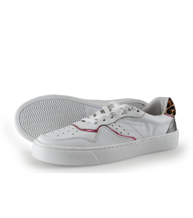 Colors of California Sneaker