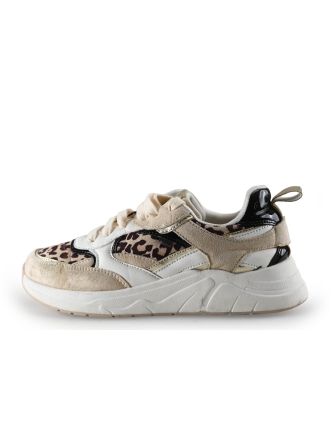 Poelman Sneaker Braun 310271