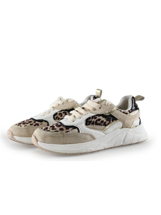 Poelman Sneaker Braun 310271