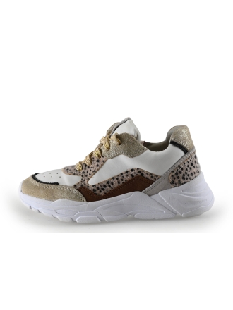 Keq Sneaker Gold 310790