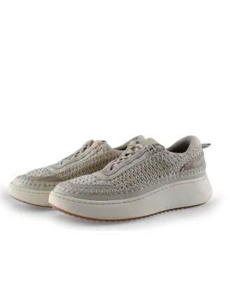 Steve Madden Sneaker Beige 310819