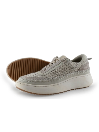 Steve Madden Sneaker