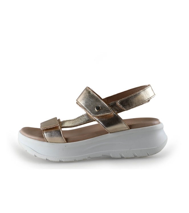 Panama Jack Sandalen