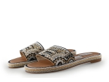 Steve Madden Flip-Flops