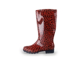 Xq Footwear Regenstiefel