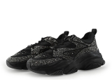 Steve Madden Sneaker