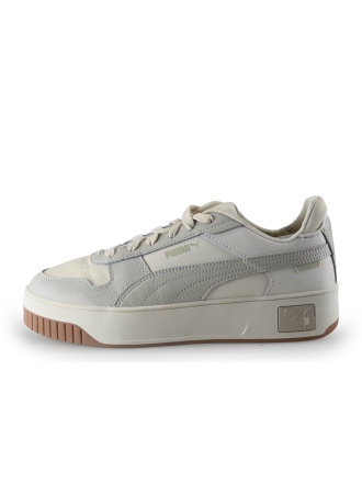 Puma Sneaker Grau 312621