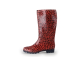 Xq Footwear Regenstiefel