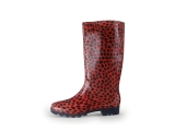Xq Footwear Regenstiefel