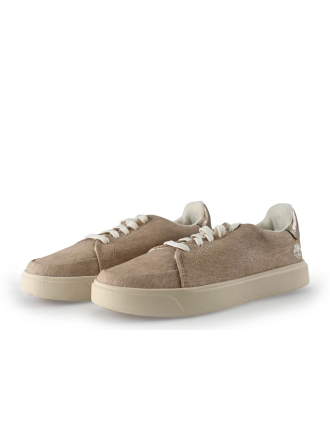 Timberland Sneaker Beige 312912