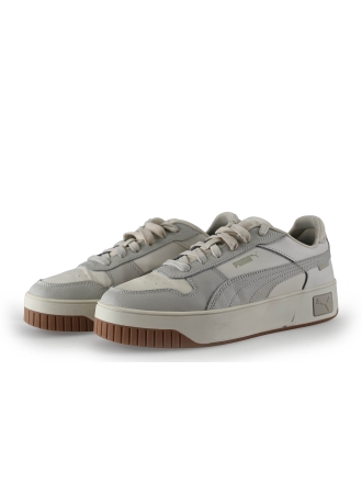 Puma Sneaker Grau 314029